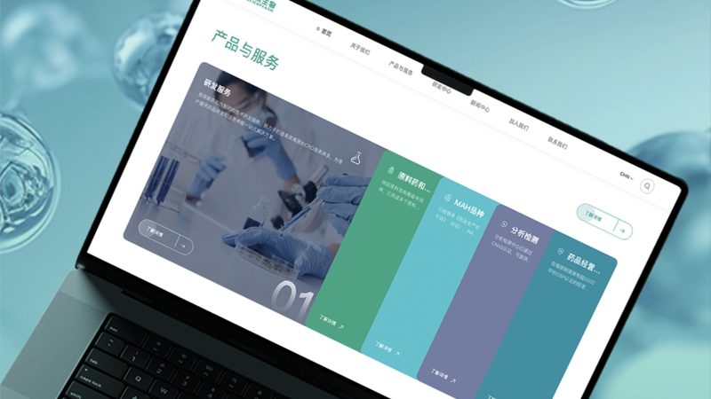 手机网站建设方案：行业案例解析与趋势洞察