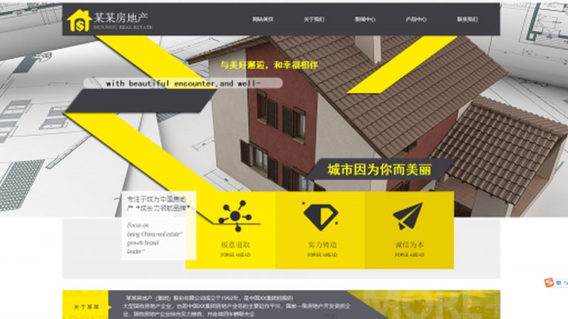成都网站托管服务，揭秘其背后的专业流程